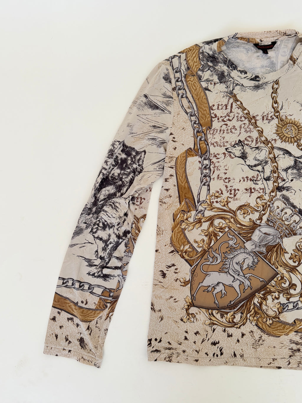 Roberto Cavalli Long Sleeve Printed Top in Medium