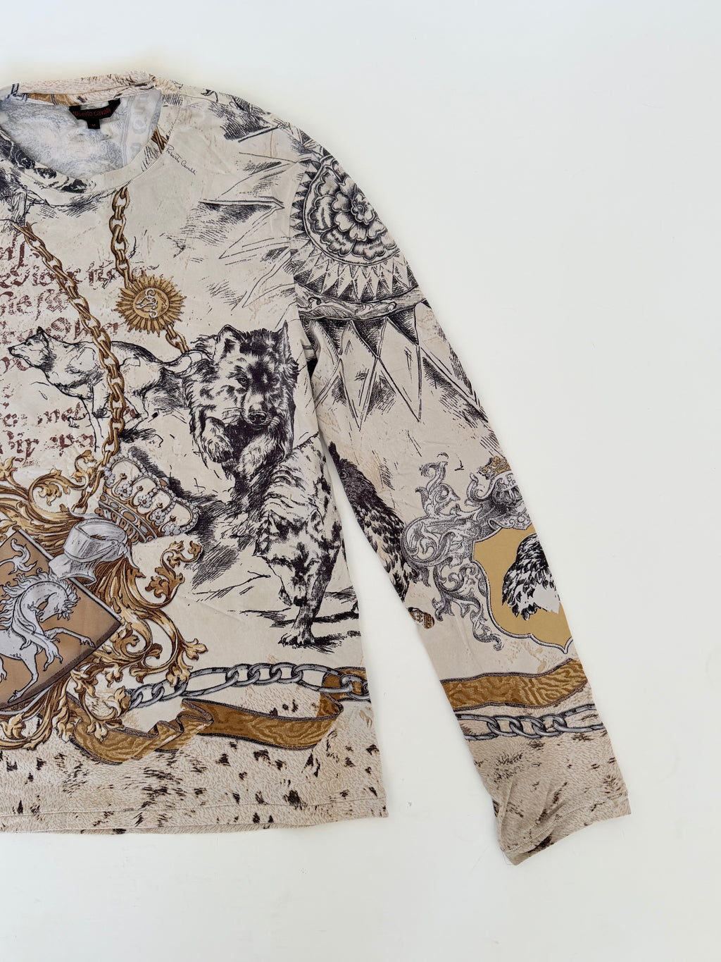 Roberto Cavalli Long Sleeve Printed Top in Medium