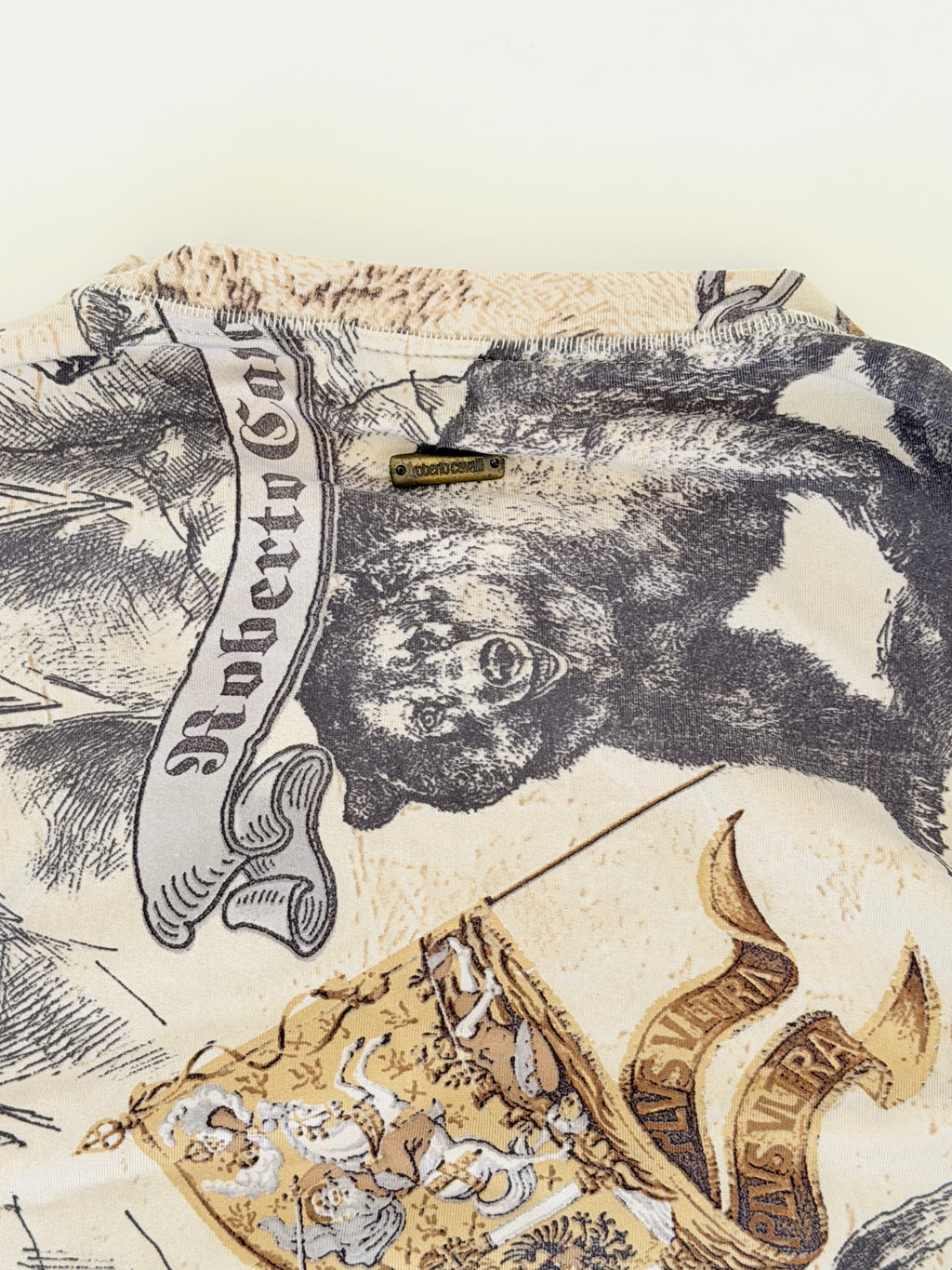 Roberto Cavalli Long Sleeve Printed Top in Medium