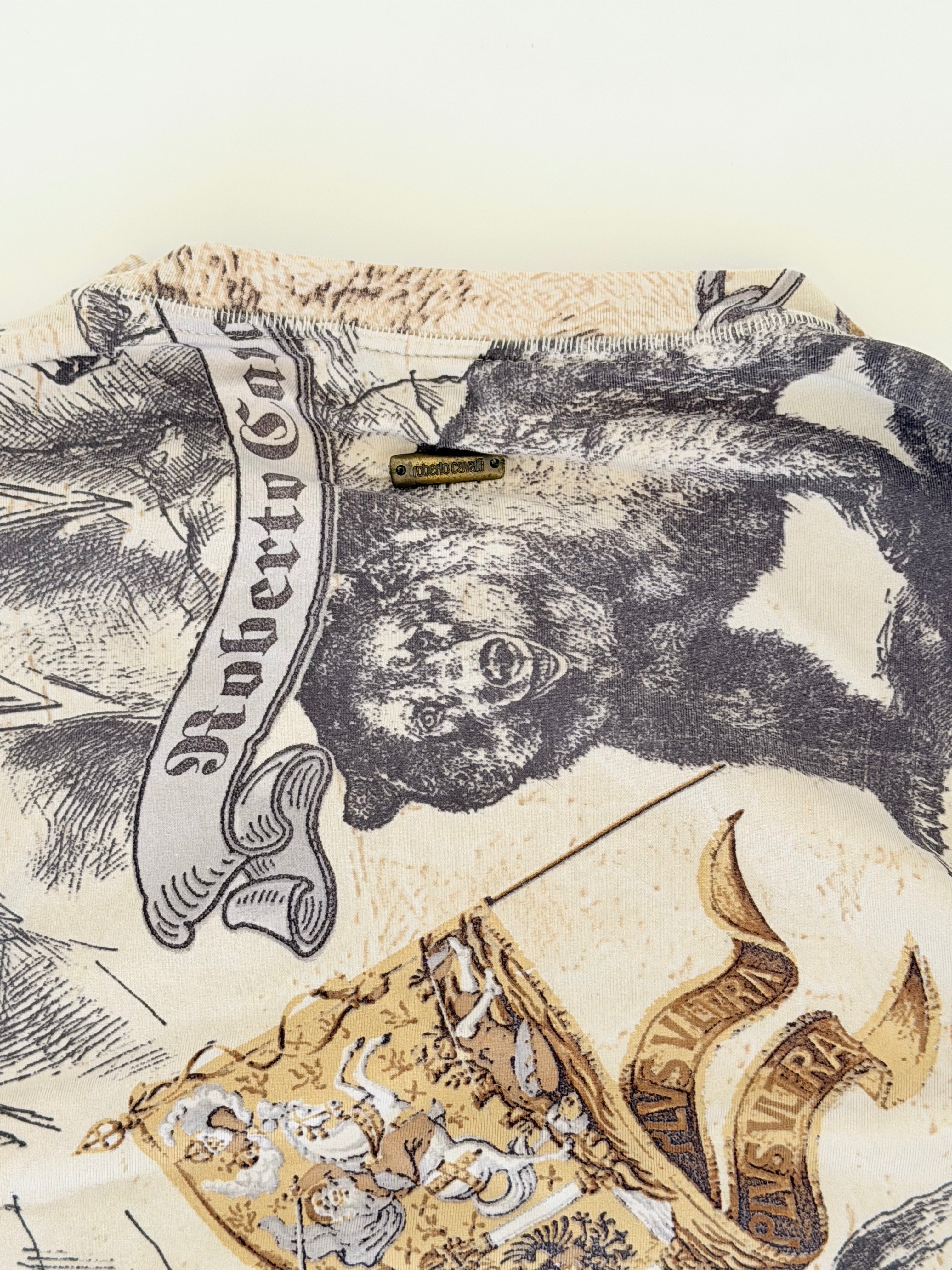 Roberto Cavalli Long Sleeve Printed Top in Medium